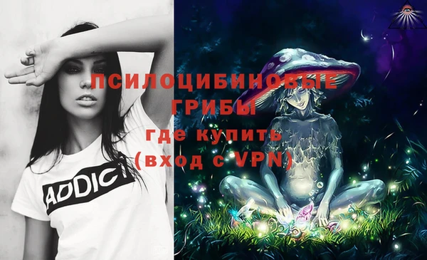 первитин Покачи