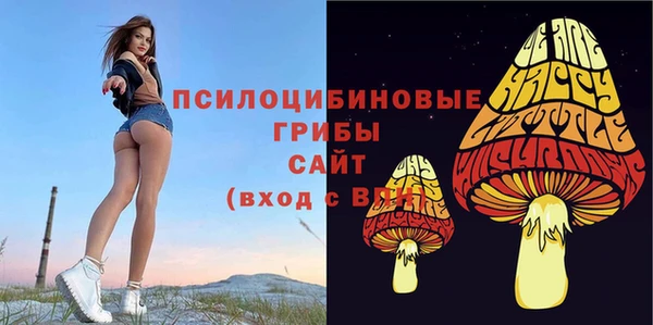 спайс Дмитров