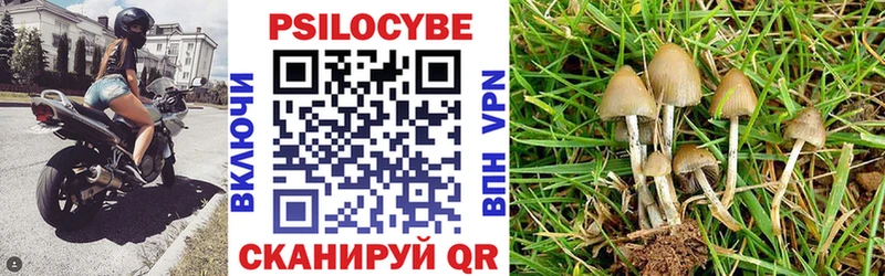 Галлюциногенные грибы прущие грибы  Купить закладки  Жиздра 